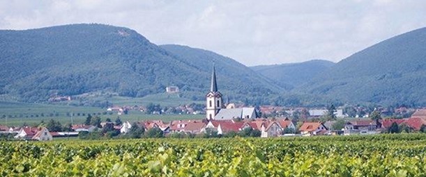 Weingut Anselmann 1541 - Edesheim-Pfalz - Duitsland