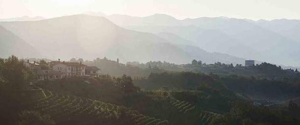 Cantina Produttori Cormòns  - Isonzo-Friuli - Italië
